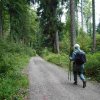 09 b Schluchensteig Etappe 4 - 6